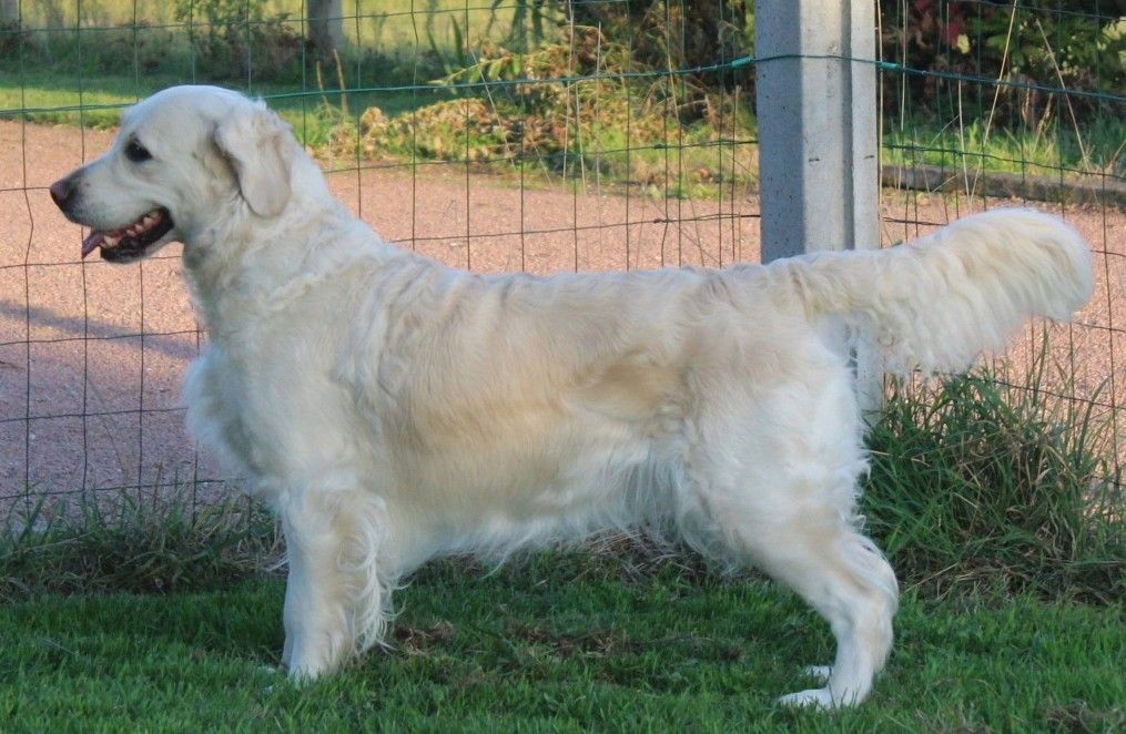 Redonnes moi espoir De L'Or De Lizzy