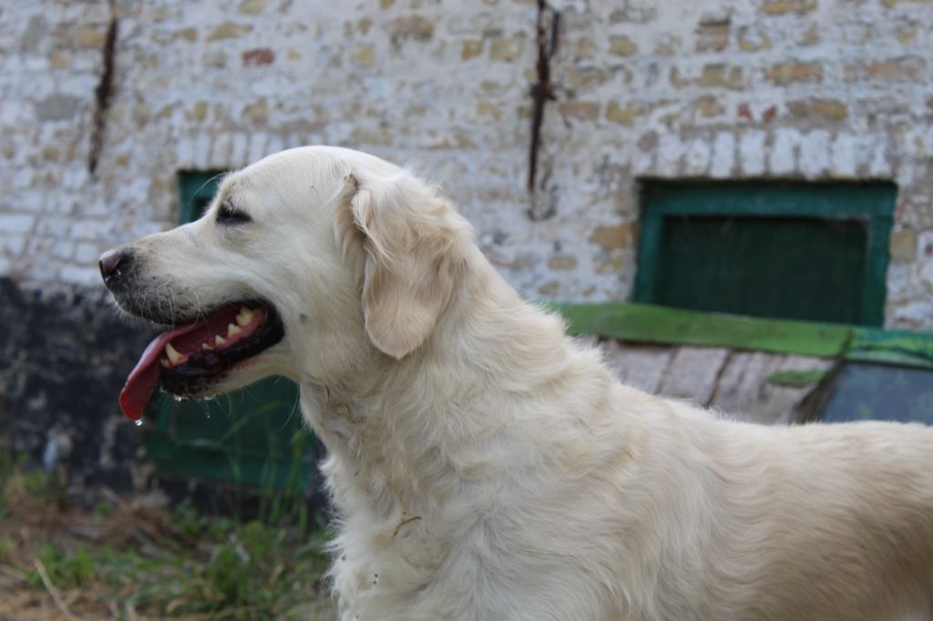 Redonnes moi espoir de l'or de Lizzy dite Ruth